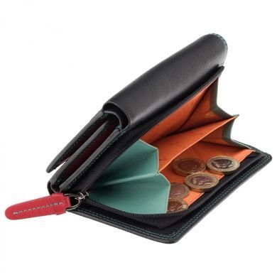 Женский кошелек из натуральной кожи Visconti Rainbow Bora RB43 Black/Rhumba