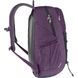 Рюкзак повсякденний Deuter Gogo 25 л 3813221 5334 plum-ink