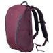 Рюкзак з відділенням для ноутбука до 15.4" Victorinox Altmont Active Everyday Laptop Vt602134 Burgundy