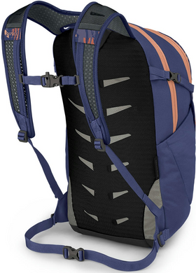 Рюкзак повседневный Osprey Daylite Plus 009.3628 20л Wild Blossom Print/Alkaline