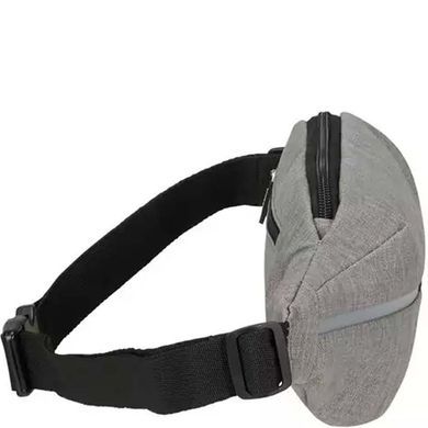 Поясна сумка Samsonite Securipak KA6*003 Cool Grey