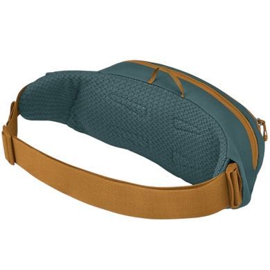 Поясна сумка-бананка Osprey Daylite Waist 2л 009.3343 Тorrent blue