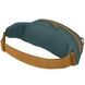 Поясна сумка-бананка Osprey Daylite Waist 2л 009.3343 Тorrent blue
