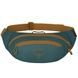 Поясна сумка-бананка Osprey Daylite Waist 2л 009.3343 Тorrent blue